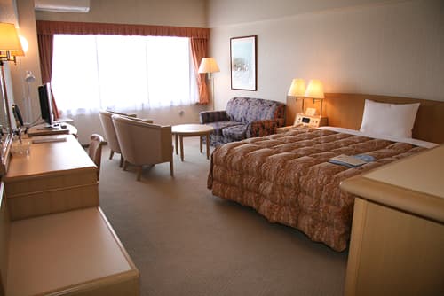 東横ＩＮＮ成田空港本館