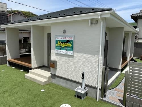 Ｍｅｇｕｍｉｓｔａｙ　＾