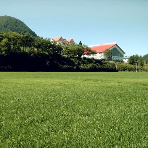 ホテル　レイジャント