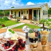 sunny nonchi cafe サニーノンチカフェ