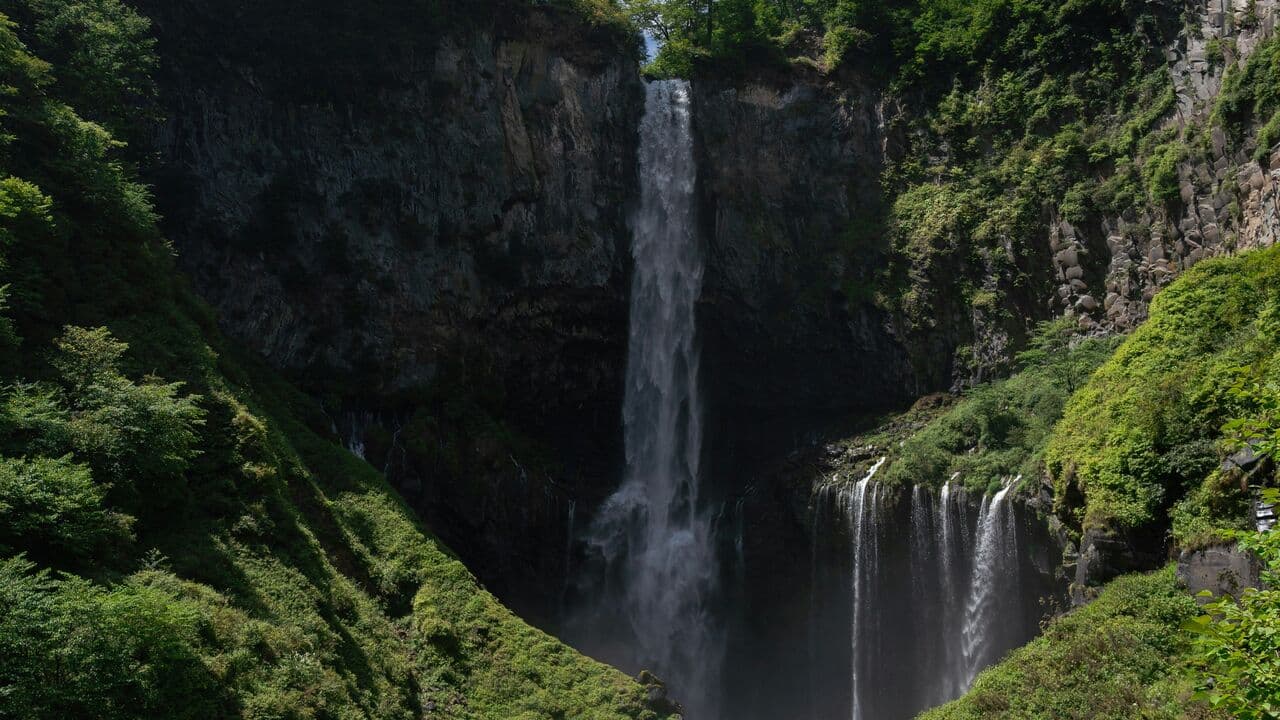 日光