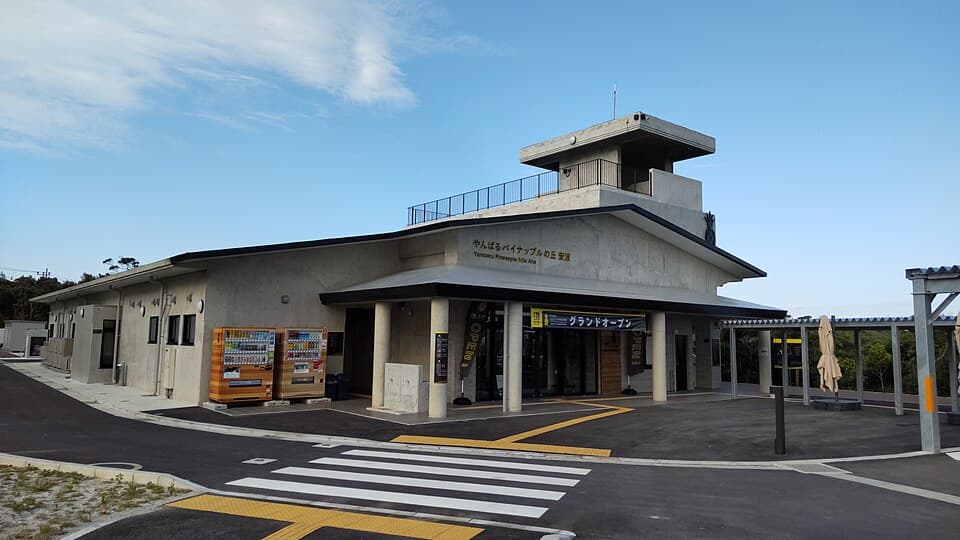 道の駅 やんばるパイナップルの丘安波