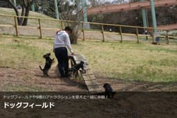 入園券前売