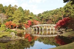 修善寺虹の郷 入園券