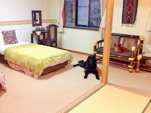 愛犬と癒しのアジアンリゾート 海宿 太陽人
