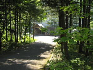 風木立の川辺 紫明館