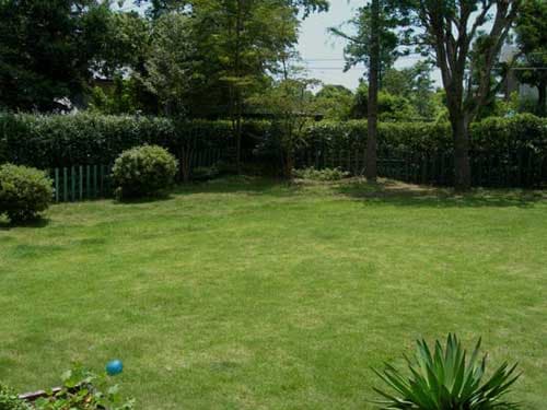 癒やしのわんこ宿 にこまめち