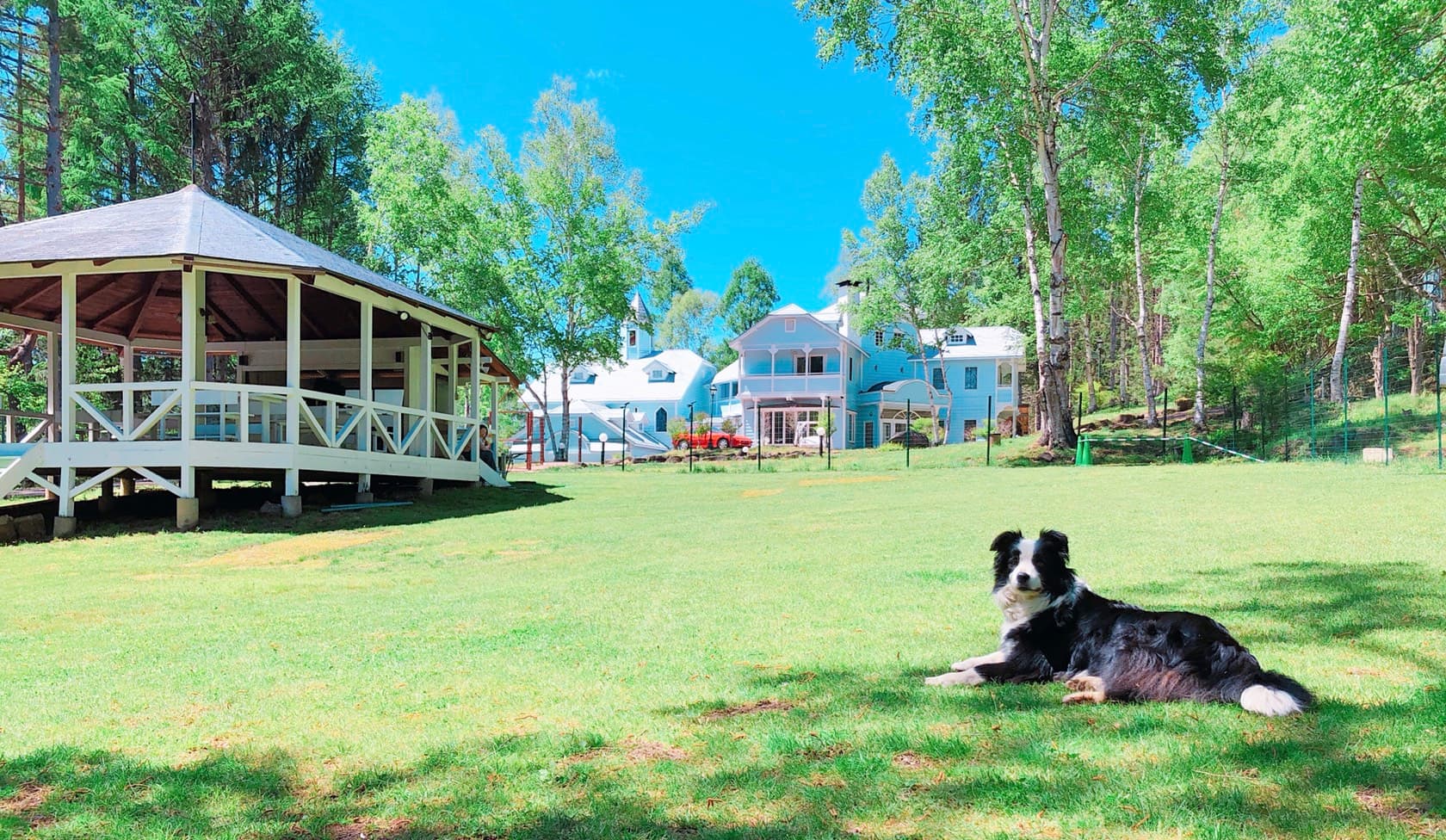 青空の扉 犬と泊まれるプチホテル