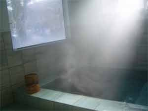 ペンション コットンテール