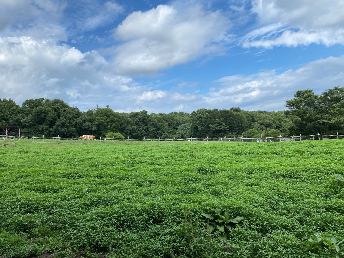 那須高原 南ヶ丘牧場