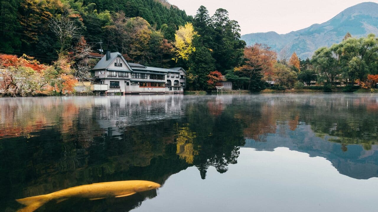 金鱗湖