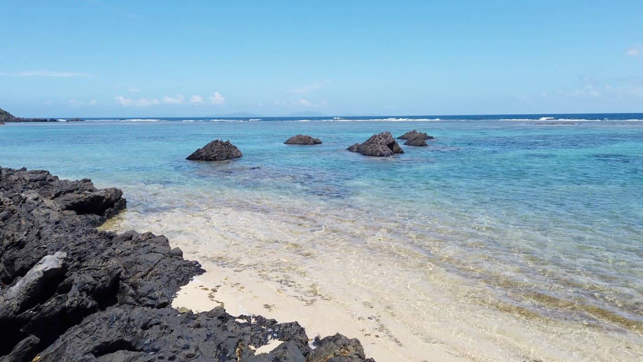 徳之島