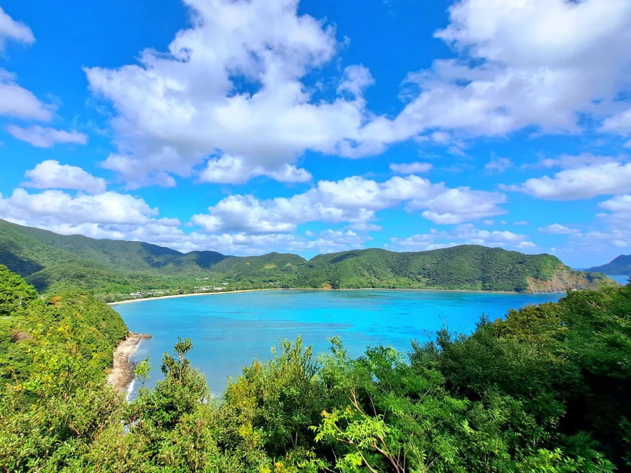 奄美大島